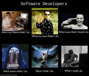 Software Developers